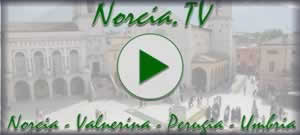Norcia TV