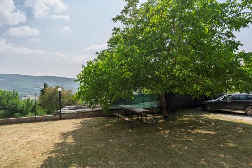 esterno_agriturismocastelfranco_parcheggio_raw_ps